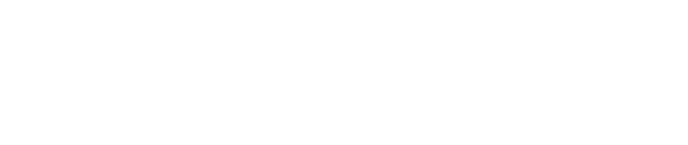 Börü Safari Logo